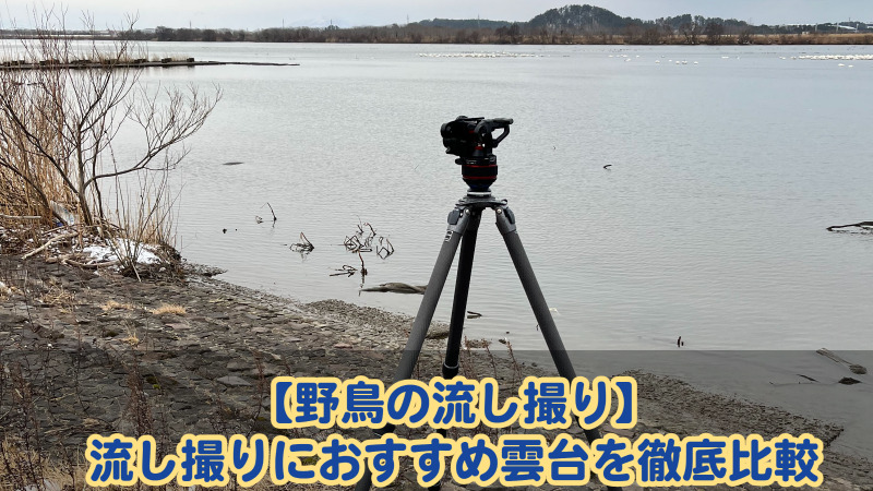 【野鳥の流し撮り】流し撮りにおすすめ雲台を徹底比較 